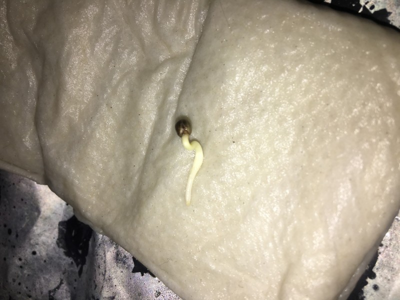 66E0FDEC-336B-4107-9630-CC30C1B56F46