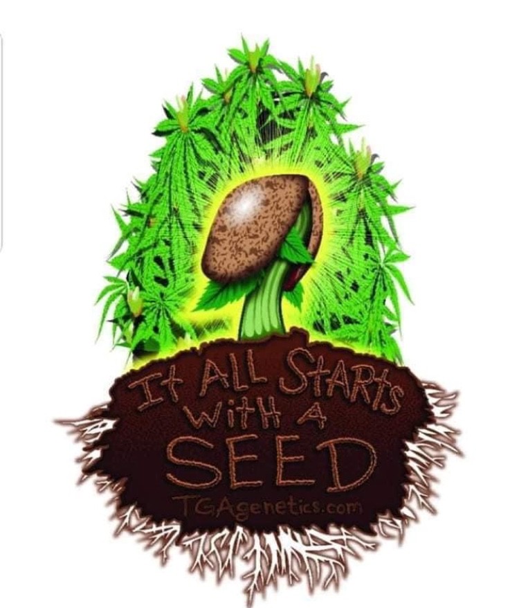 580E337B-F273-49A3-82AB-93F63A6AB7FC