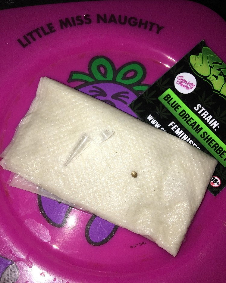 C7BADC55-1551-4A8A-9D6D-570C5C0906EB