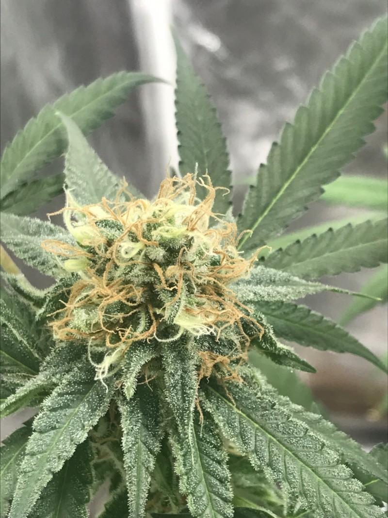 51791BF8-E352-434D-86EC-BF87270F354C