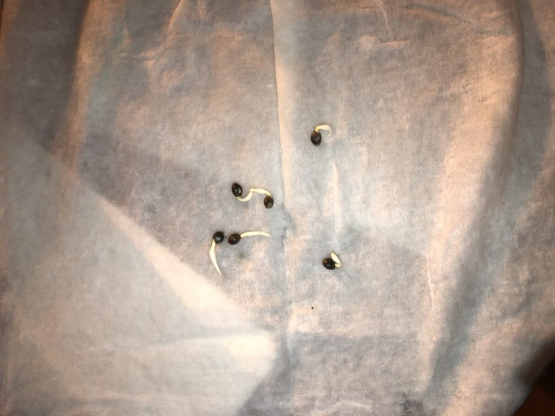 0A79831C-3037-4DEC-BE72-C39456796EA9