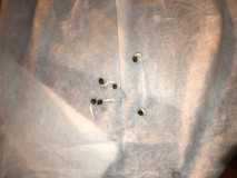 0A79831C-3037-4DEC-BE72-C39456796EA9