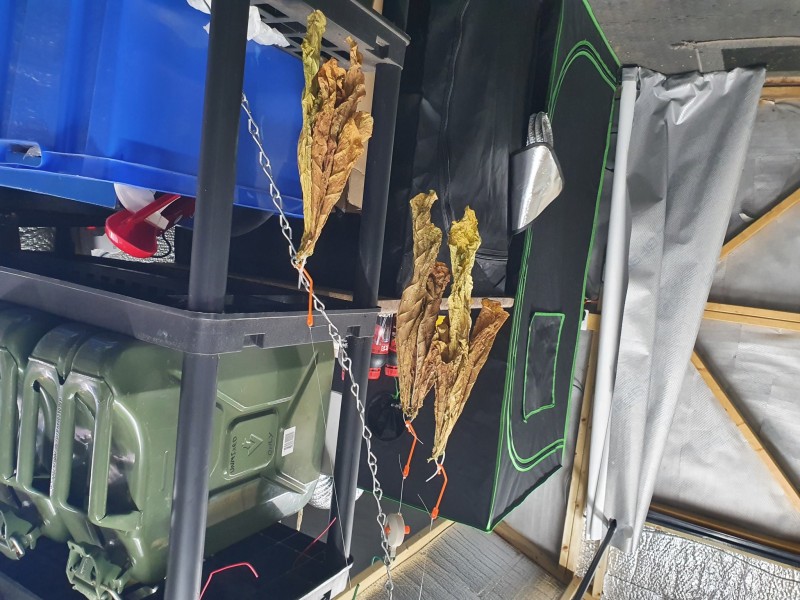 15954950682465072601871613335508