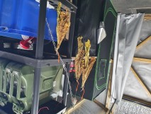 15954950682465072601871613335508