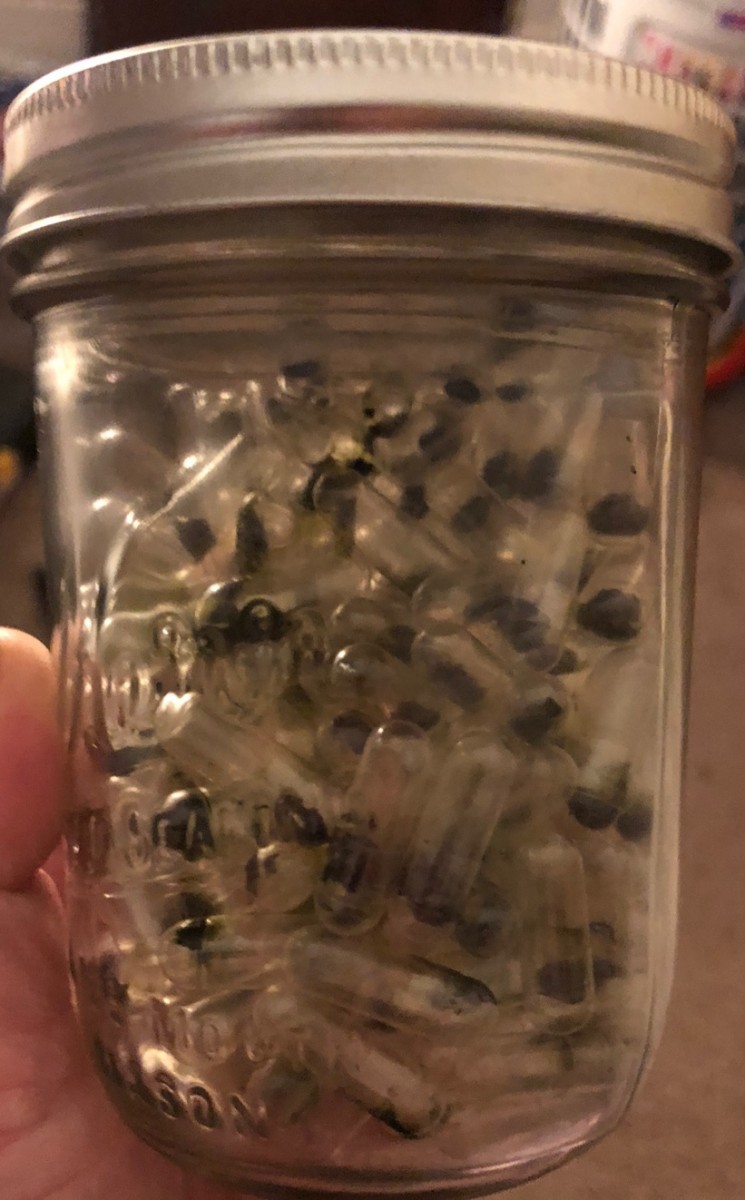 B95AE93E-7FAA-4DD7-A9AB-3F7115E097AB