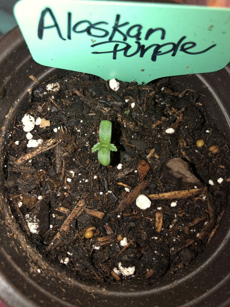 88588879-659A-4134-89EF-012C61714A84