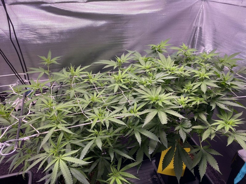 3F33DB15-6224-4004-B406-80338E75D196