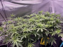 3F33DB15-6224-4004-B406-80338E75D196