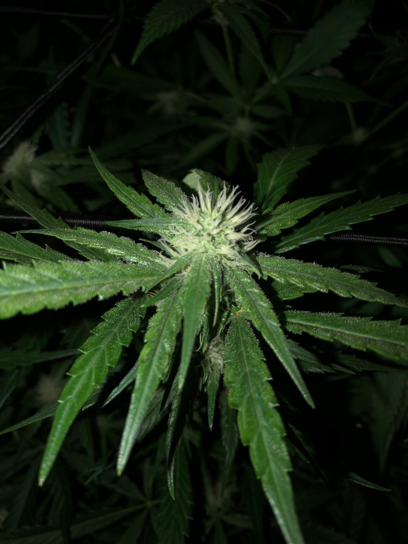 283DBD8D-87E6-4AE6-B019-921C44DD486B