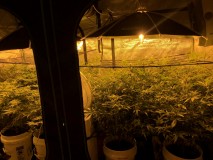 D198981E-4A20-456A-B937-E2DB9E851A4A