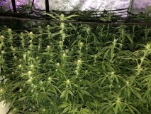 6C060EEF-BD02-4B26-AF39-215C54C1B677