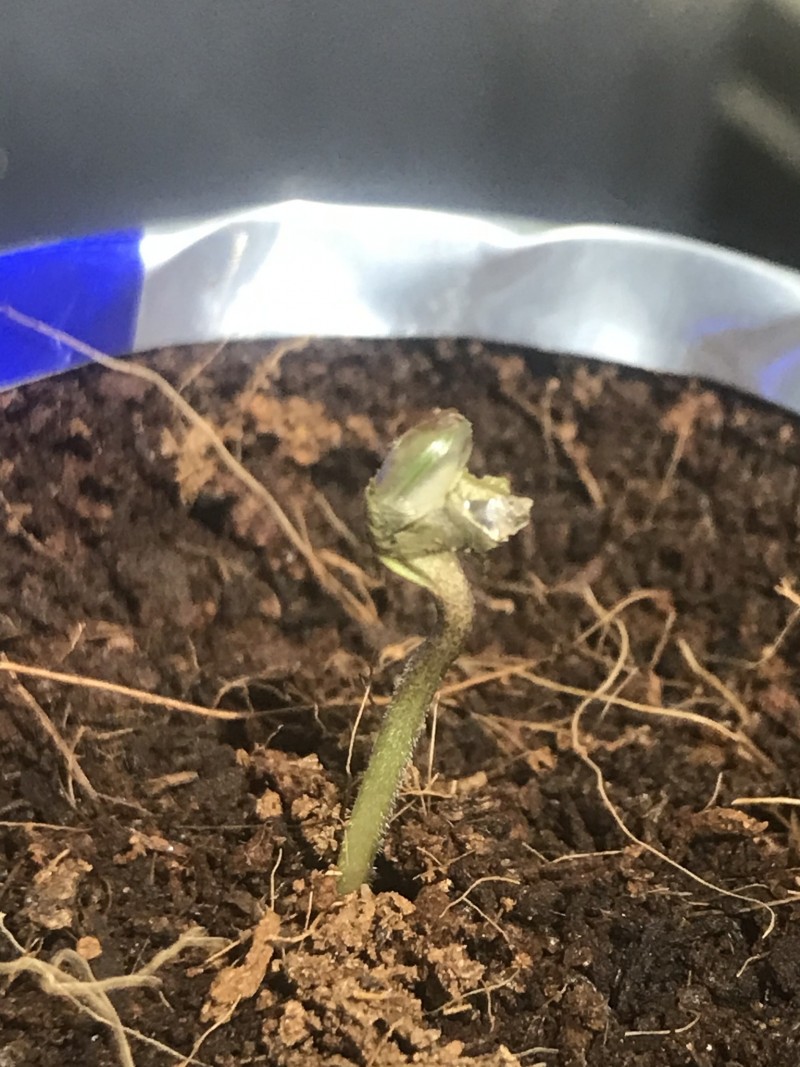 C048B835-D64C-4308-AC41-43BA50F8C093