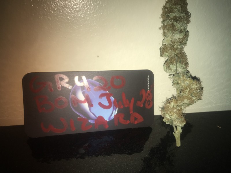 24205B6F-FEDB-444E-BAFF-BA16E69BAB3E