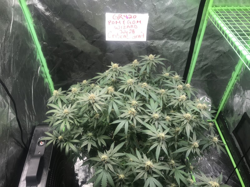 851970E1-8DFF-4856-86A8-2F6BCD0C35CC