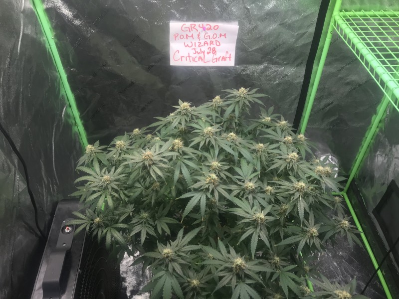 72D38A21-EAC1-405E-B04B-C8AB3E23AA88