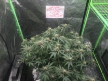 72D38A21-EAC1-405E-B04B-C8AB3E23AA88