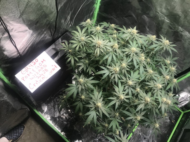 5DD803E5-A3BF-4D4A-87D8-DC3A96CDD379