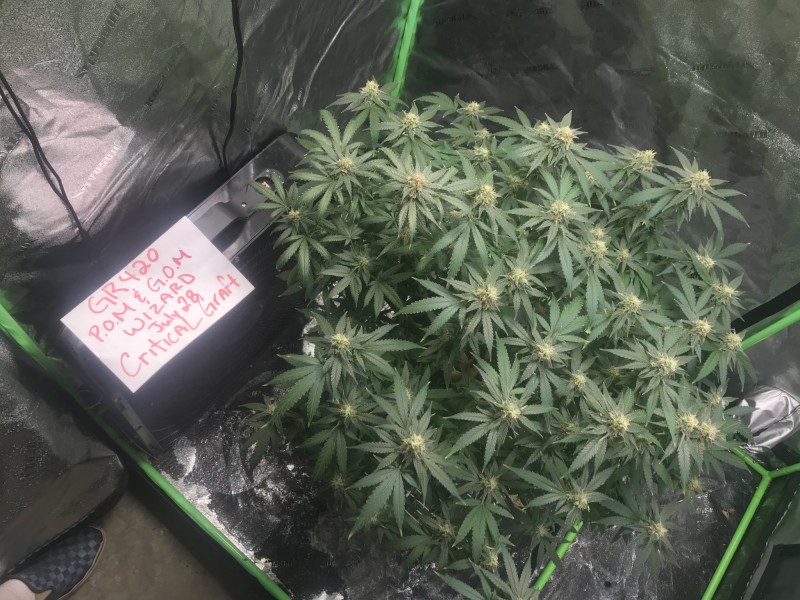 81EC72D7-459F-4EB2-BFAC-E82F643FF366