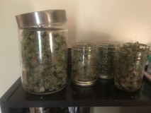 ACCA041D-124C-4F20-ABB1-5842C0279E8C