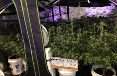 FC19F08C-071B-40B9-8FD7-556BEFCC3712