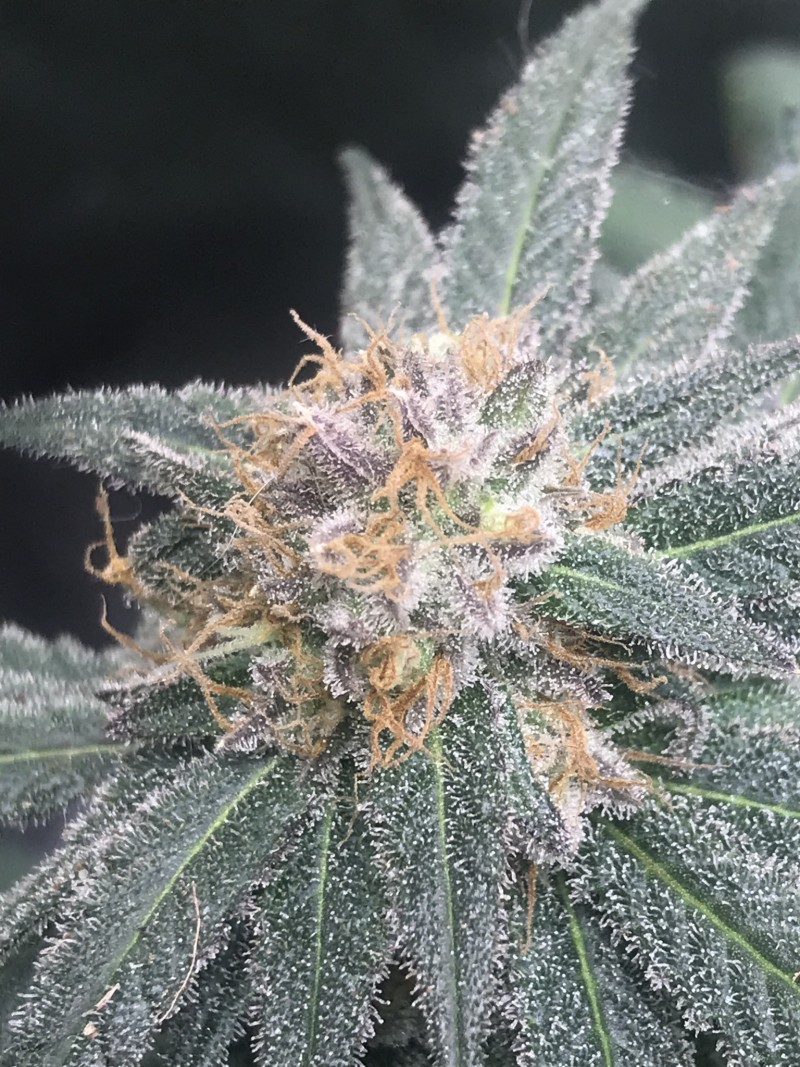 2B6D68D6-A14E-411B-93F8-C8F494845FF7