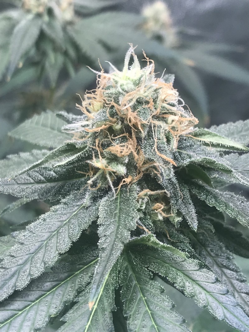 A133D75D-BF2E-4254-BEEA-2855F919CC5D