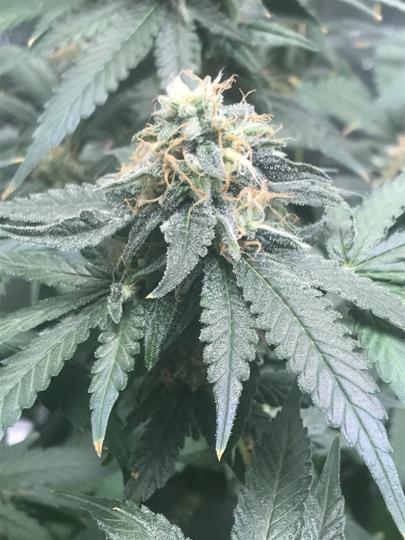 E0EDA37C-0F84-4D16-8666-08E51FDD198D