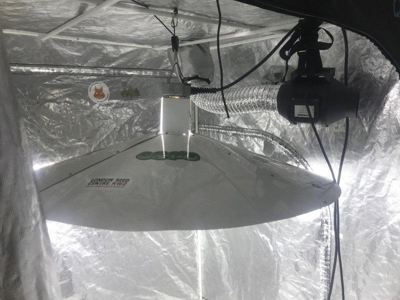 A1E5F0ED-2C39-4A31-985B-8EA0A517397F