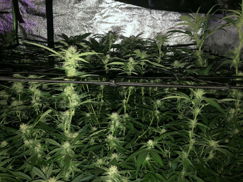 FB670A82-3643-4EE6-B18F-96D7E7EF2C0C