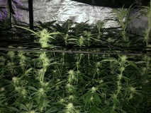 FB670A82-3643-4EE6-B18F-96D7E7EF2C0C