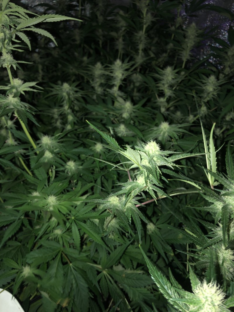 A8D0AB40-697D-4905-90DF-C875F312B433