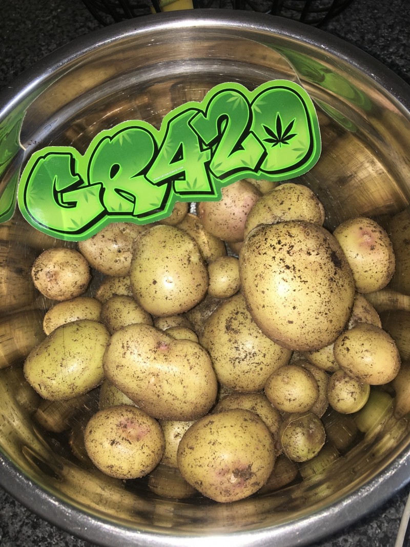 238CA28E-C92B-4FEC-807C-089BA58A4BF6