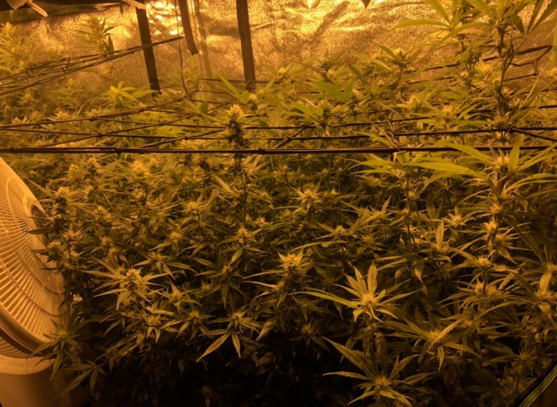 84E0A6FC-FCC0-4252-99CC-D1ED580E8650