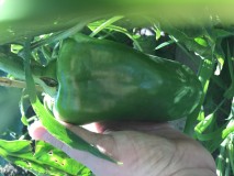 D49F4DBC-19BA-4A5B-931E-01796E523A17