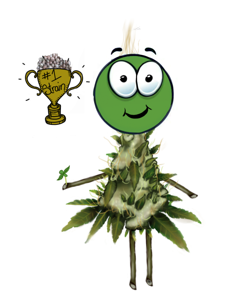 Untitled712_20200805185854