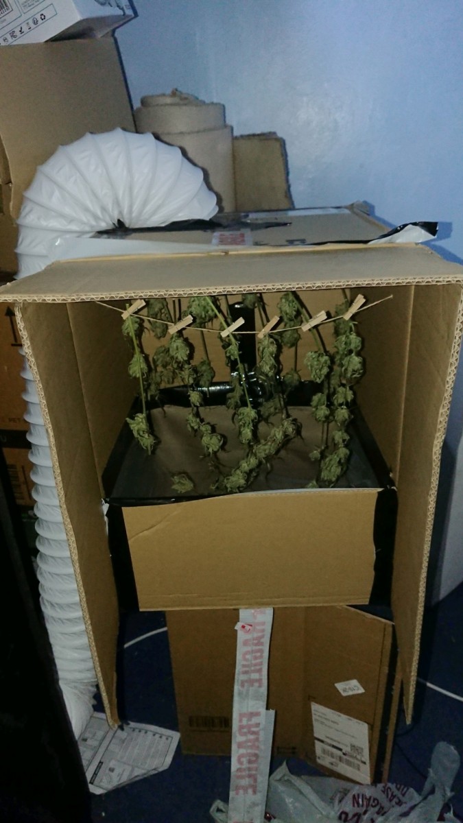 obscura1596722298257