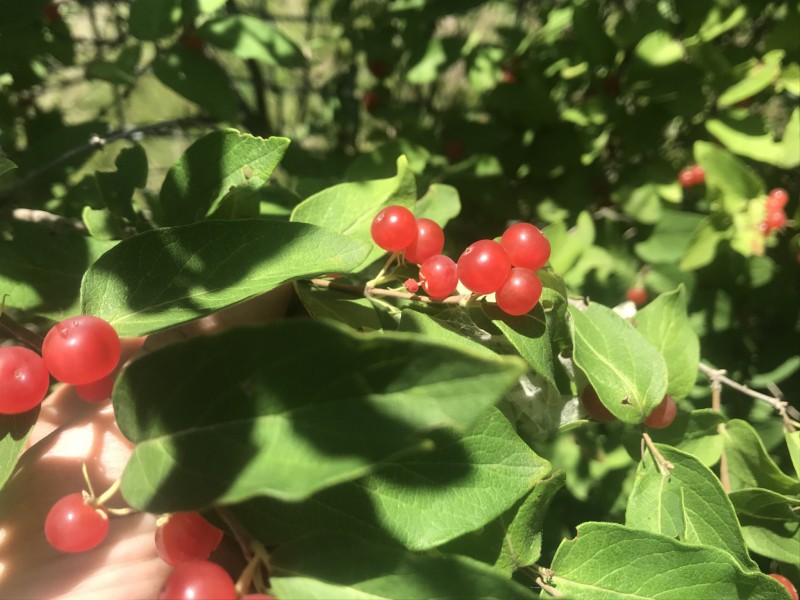 2DA24B68-4380-418E-AECD-8F95139092A5