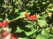 2DA24B68-4380-418E-AECD-8F95139092A5