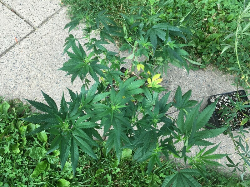 14FA9223-1F35-4860-93D4-790E5FAAAAF6