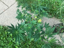 14FA9223-1F35-4860-93D4-790E5FAAAAF6