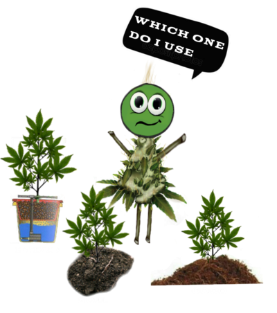 Webp.net-resizeimage (9)