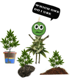 Webp.net-resizeimage (9)