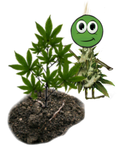 Webp.net-resizeimage (10)