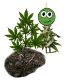 Webp.net-resizeimage (10)