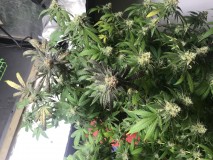 D1E24870-AE10-495E-B449-2C9CE635FD42