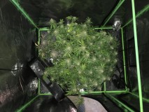 F03C9354-F975-4680-A004-921F7108136C