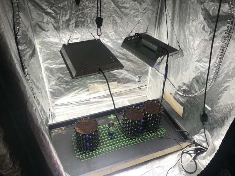 F5307A59-C23B-48F7-88DD-23ADE08E9D6F