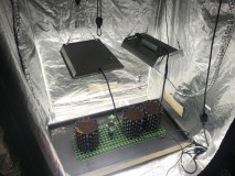 F5307A59-C23B-48F7-88DD-23ADE08E9D6F