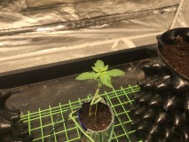 CAF6F5E6-1434-498A-9231-3870BE2ECC88