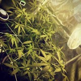 IMG_20200808_215543_390